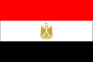 Article : Scrutin parlementaire le 28 novembre en Egypte