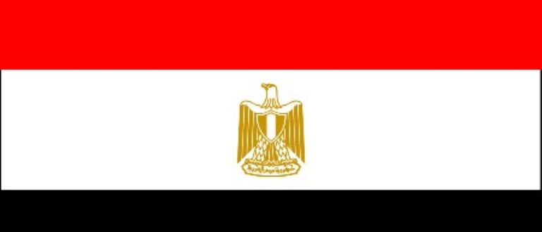 Article : Scrutin parlementaire le 28 novembre en Egypte