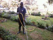 Article : Edouard, un agent de nettoyage doublé de jardinier
